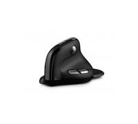 Urban Factory ERGO Max mouse Mano destra RF senza fili + Bluetooth 4000 DPI