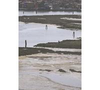 Urban Shores - Towards Landscape-Based Coastal Adaptation