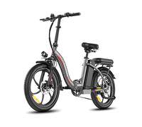 Urbanbike FAFREES F20+