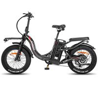 Urbanbike FAFREES F20 X-MAX