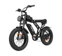 Urbanbike RIDSTAR Q20