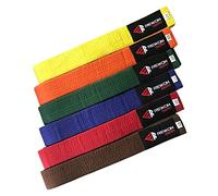 URBANSBEE Cintura per Taekwondo Professionale Karate - Cinture per Arti Marziali, Karate Judo Cinture, Cintura Budo, Sport da Combattimento qualità Premium (6/310cm, Verde)