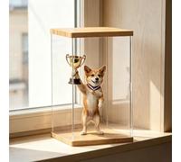 UrbanUp Teca Plexiglass Scatola in Acrilico con Base e Coperchio in Legno Massello, Teca Trasparente Antipolvere Trofei, Scatole Portaoggetti Alte 60,50,40,25,30,25,20,15,10cm(20x25xH25cm/8x10x10)