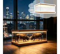 UrbanUp Teca Plexiglass Scatola in Acrilico Trasparente Autoportante con Luce LED, Scatole Antipolvere per Oggetti da Collezione/Decorazioni Grandi, Organizer Rettangolare(25x50xH20cm/10x20x8)