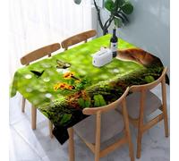 UREJD Tablecloth Stain Resistant 152x228 cm Rectangular Tablecloth Waterproof Decorative for Birthday Party Kitchen Dining Room,Gatto nel paese delle meraviglie, un gatto osserva le lussureggianti pi