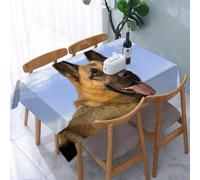 UREJD Tablecloth Stain Resistant 152x228 cm Rectangular Tablecloth Waterproof Decorative for Birthday Party Kitchen Dining Room,Obbedienza Pastore Tedesco Pelliccia Cielo Maestoso Grandi Animali Faun