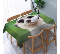 UREJD Tablecloth Stain Resistant 152x228 cm Rectangular Tablecloth Waterproof Decorative for Birthday Party Kitchen Dining Room,Lo sguardo affascinante di Mercart rivolto con curiosità alla telecamer