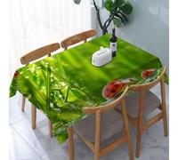 UREJD Tablecloth Stain Resistant 152x228 cm Rectangular Tablecloth Waterproof Decorative for Birthday Party Kitchen Dining Room,Coccinella Primavera Insetto Pianta Foglie Rugiada Gocce d'acqua