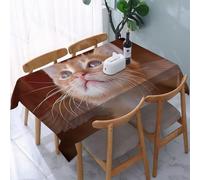 UREJD Tablecloth Stain Resistant 152x228 cm Rectangular Tablecloth Waterproof Decorative for Birthday Party Kitchen Dining Room,Animale, un gattino angelo con ali e alone, che guarda il cielo