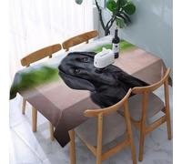 UREJD Tablecloth Stain Resistant 152x228 cm Rectangular Tablecloth Waterproof Decorative for Birthday Party Kitchen Dining Room,Adorabile disegno di cani Labrador Uno sguardo curioso