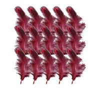 URFEDA Piume decorative da 6 a 12 cm, piume di fagiano, piume di fagiano, piume di coda di fagiano, piume di tacchino, piume naturali artigianali, decorazioni fai da te, per costumi, cappelli