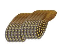 URFEDA Piume decorative da 6 a 12 cm, piume di fagiano, piume di fagiano, piume di coda di fagiano, piume di tacchino, piume naturali artigianali, decorazioni fai da te, piume decorative per costumi