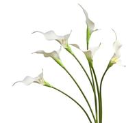 Urier Fiori artificiali di calla, fiori artificiali in lattice realistici al tatto, a stelo lungo, per fai da te, bouquet di nozze, feste, casa, centrotavola, decorazione (6, bianco)