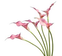 Urier Fiori artificiali di calla, fiori in lattice realistici al tatto, a stelo lungo, per fai da te, bouquet di nozze, feste, casa, centrotavola, decorazione (6, rosa)