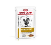 Royal Canin URINARY S/O con Pollo per Gatto Gatti - 12 bustine 85 grammi