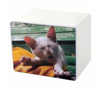 Urna Cineraria in Legno Laccato con Foto per Animali 15x12x10cm GMF Bianco