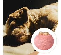 Urna commemorativa per cane con coperchio, barattolo per la conservazione