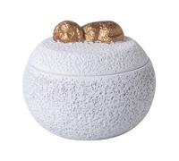 Urna commemorativa per cane con coperchio, barattolo per la conservazione