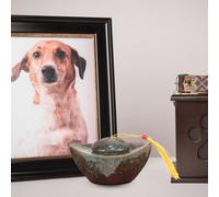 Urna Di Cremazione Per Animali Domestici Urne Le Ceneri Dei Cani