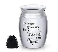 Urna di Cremazione Piccola Mini Urna Ricordo Commemorativa Portacenere in Acciaio Inossidabile Urna Funeraria Personale in Metallo Condiviso, No Longer By My Side, But Forever in My Heart