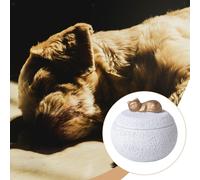 Urna funeraria, contenitore commemorativo per ceneri, robusto, compatto e