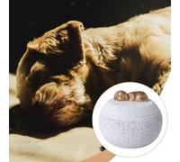Urna funeraria per animali domestici, urna funeraria per cani con coperchio,