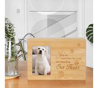 Urna per animali Urne di cenere per cani commemorano il ricordo