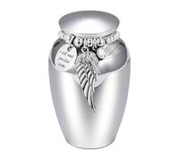 Urna per cremazione per animali domestici con coperchio, Silver | Urna commemorativa per animali domestici antiruggine con sigillo sicuro a tenuta stagna per esposizione