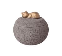 Urne Per Cani - Ceneri Cane Urna Commemorativa Ricordo | Contenitore Decorativo Memoria Gatti