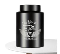 Urne per cani per ceneri, urne per animali domestici per cani | Piccola urna per cenere | Acciaio inossidabile Angelo Wing Animal Memorial Keepsake per la casa casa Burial House