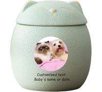 Urne per Ceneri per Gatti Personalizzate, Urne per Animali Domestici Personalizzate per Ceneri di Gatti Urna in Ceramica A Forma di Gatto Urne per Cremazione per Animali Do, Green, Little