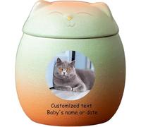 Urne per Ceneri per Gatti Personalizzate, Urne per Animali Domestici Personalizzate per Ceneri di Gatti Urna in Ceramica A Forma di Gatto Urne per Cremazione per Animali Do, Green Orange, Big