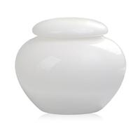 Urne Per Ceneri Urna In Ceramica Bianca Da 1000 Ml Urna Per Animali Domestici Per Ceneri Di Cani Urna Per Cani In Porcellana Urne Per Animali Domestici Per Ceneri Urne Di Cremazione A Tenuta Stagna Pe