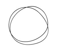 Urnqowuy Cinghia di trasmissione per giradischi Pro-Ject Phono, adatta per serie Debut, xPression e RPM 5.1, RPM 6.1, Pro-Ject Essential, USB, II, II, USB, ecc