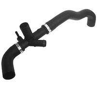 URO Parts XR827648 Tubo radiatore, superiore