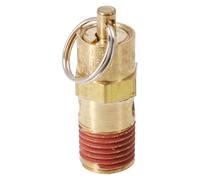 URPIZY Valvola di controllo della pressione del compressore d'aria, 1/4" NPT, 125 PSI, corsa in ottone con molla in acciaio inox, per pressurizzazione, sistema di esplosione
