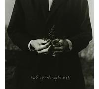 ursa major moving group