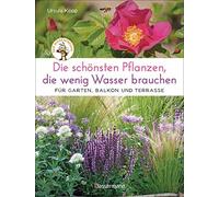Ursula Kopp Die schönsten Pflanzen, die wenig Wasser brauchen (Copertina rigida)
