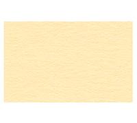 Ursus 2174610 - Carta da disegno, formato DIN A4, 130 g/mq, 100 fogli, colore: Camoscio