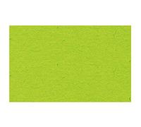 Ursus 2174651 - Carta da disegno, formato DIN A4, 130 g/mq, 100 fogli, colore: Verde chiaro