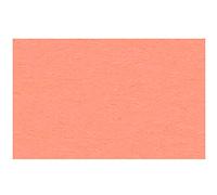 Ursus 3774642 foto scatola, DIN A4, 300 G/MQ, colore: corallo