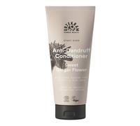 Urtekram - Balsamo, Zenzero delicato contro la forfora, BIO, 180 ml