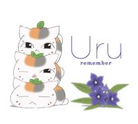 URU - REMEMBER -LTD-