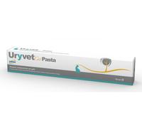 URYVET CAT PASTA 15ML VET