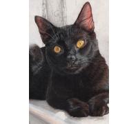 US Academic diary 2025-2026 week to view, student diary with black cat artwork by Sally Sturgess: August 25 - July 26. 108 pages and glossy cover. Perfect gift for student or black cat lover