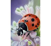 US Academic diary 2025-2026 week to view, student diary with Ladybug artwork by Sally Sturgess: August 25 - July 26. 108 pages and glossy cover. Perfect gift for student or ladybug lover