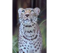 US Academic diary 2025-2026 week to view, student diary with Leopard artwork by Sally Sturgess: August 25 - July 26. 108 pages and glossy cover. Perfect gift for student or big cat lover