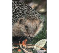 US Academic diary 2025-2026 week to view, with Hedgehog artwork by Sally Sturgess: 108 pages and glossy cover. Perfect gift for student or hedgehog lover