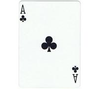 US Playing Card Company Mazzo di Carte Tutte Uguali Dorso Blu (Regina di Fiori)