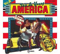 US-Pop (2) CD, Various (Compilation, 16 Tracks, She's A Lady etc.)